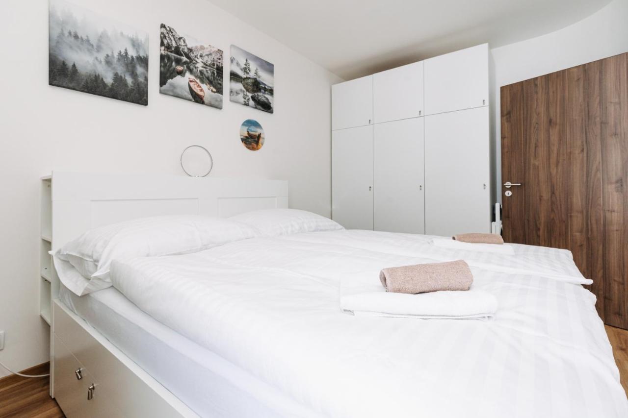 Horsky Apartman Temari 14 Klinovec Loucna pod Klinovcem Luaran gambar