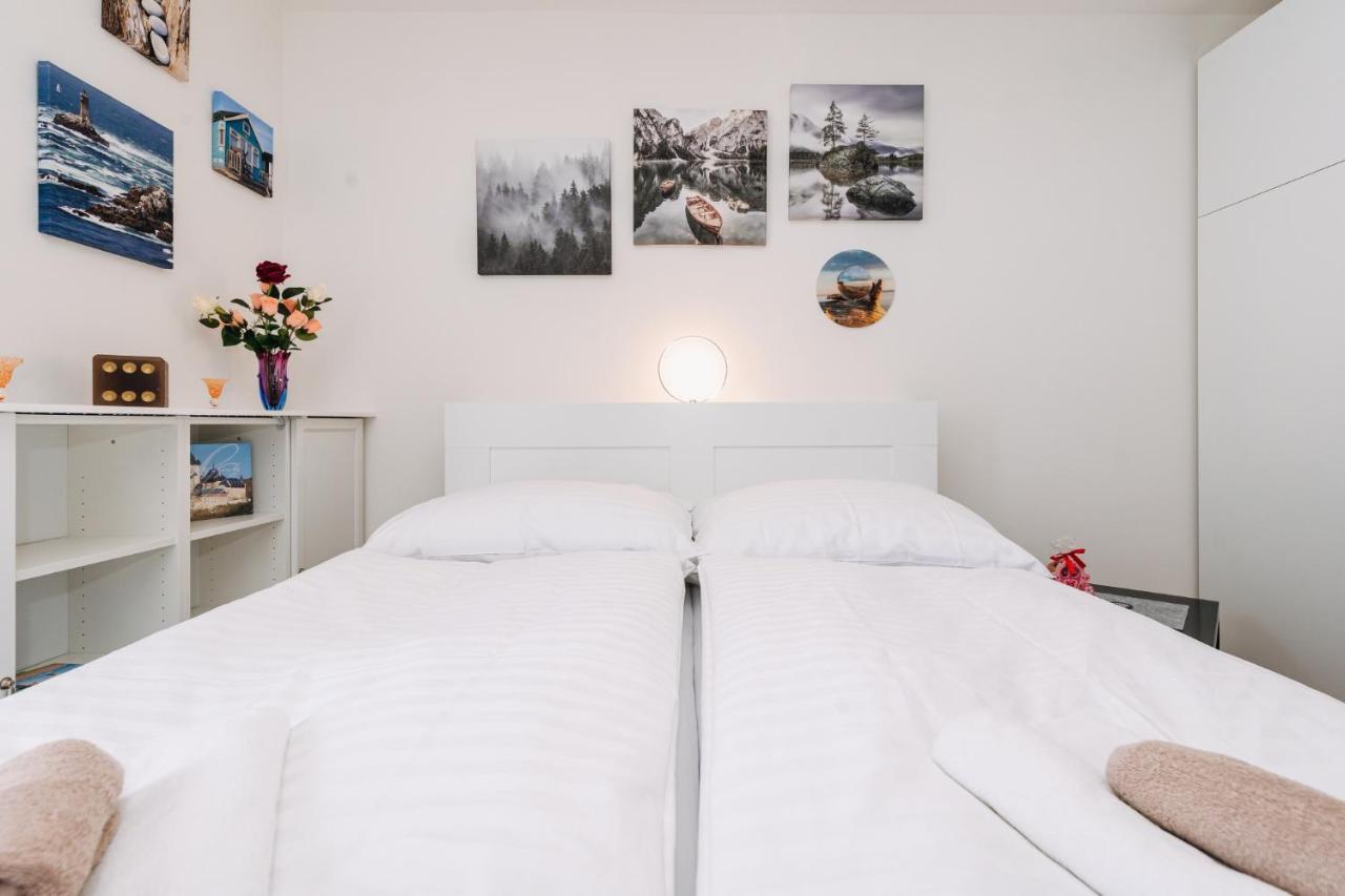 Horsky Apartman Temari 14 Klinovec Loucna pod Klinovcem Luaran gambar